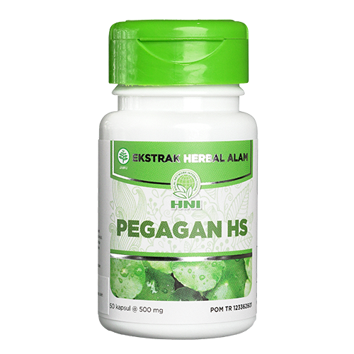 PEGAGAN HS